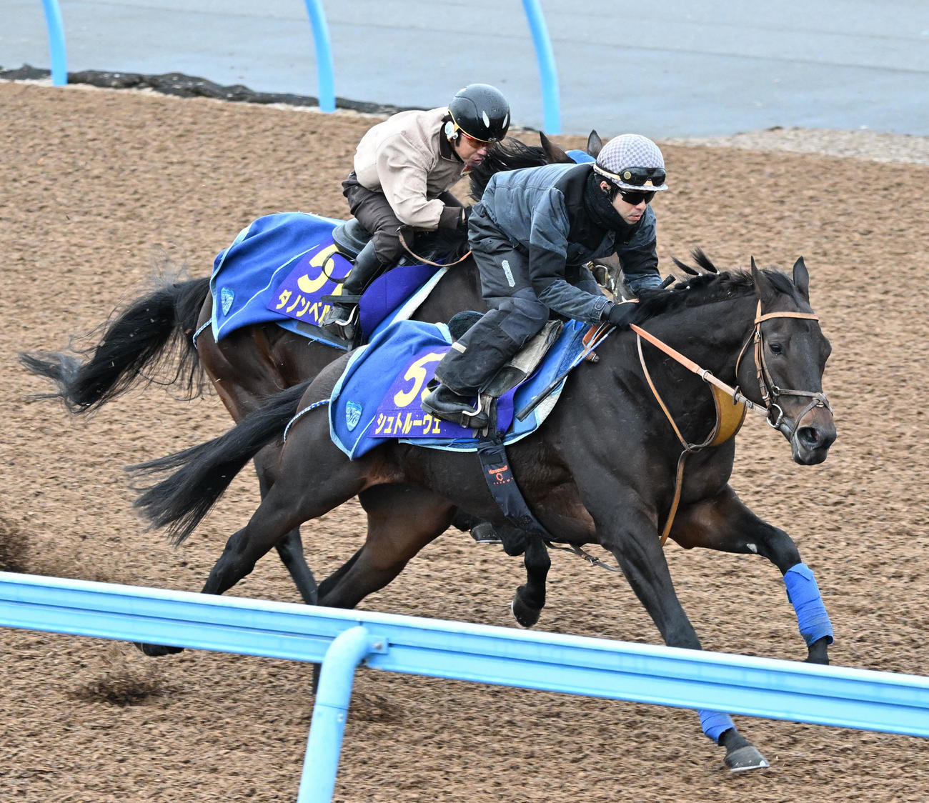 美浦ウッドで併せて追い切るシュトルーヴェ（手前）とダノンベルーガ（撮影・千葉一成）
