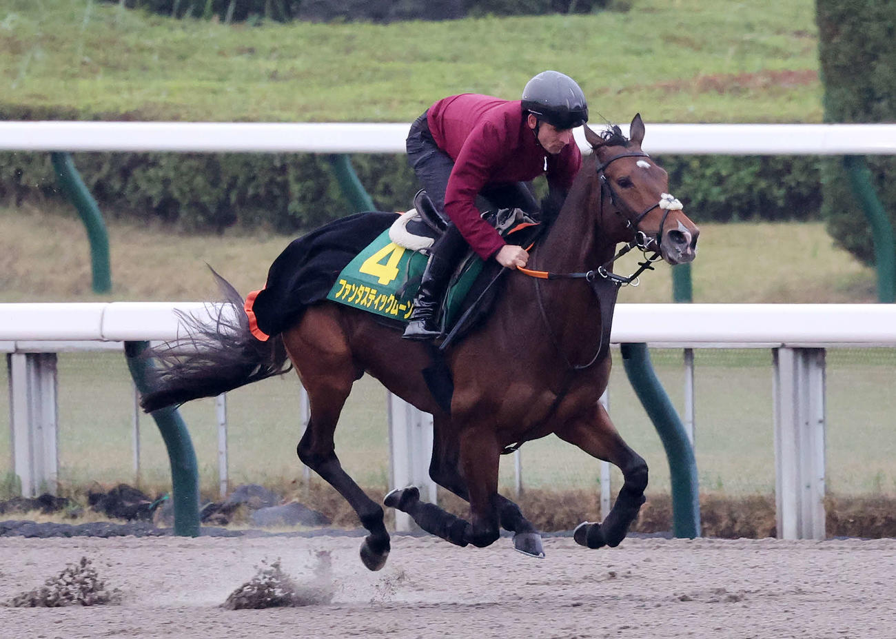 R・ピーヒュレク騎手を背に東京競馬場のダートで追い切るファンタスティックムーン（撮影・鈴木正人）