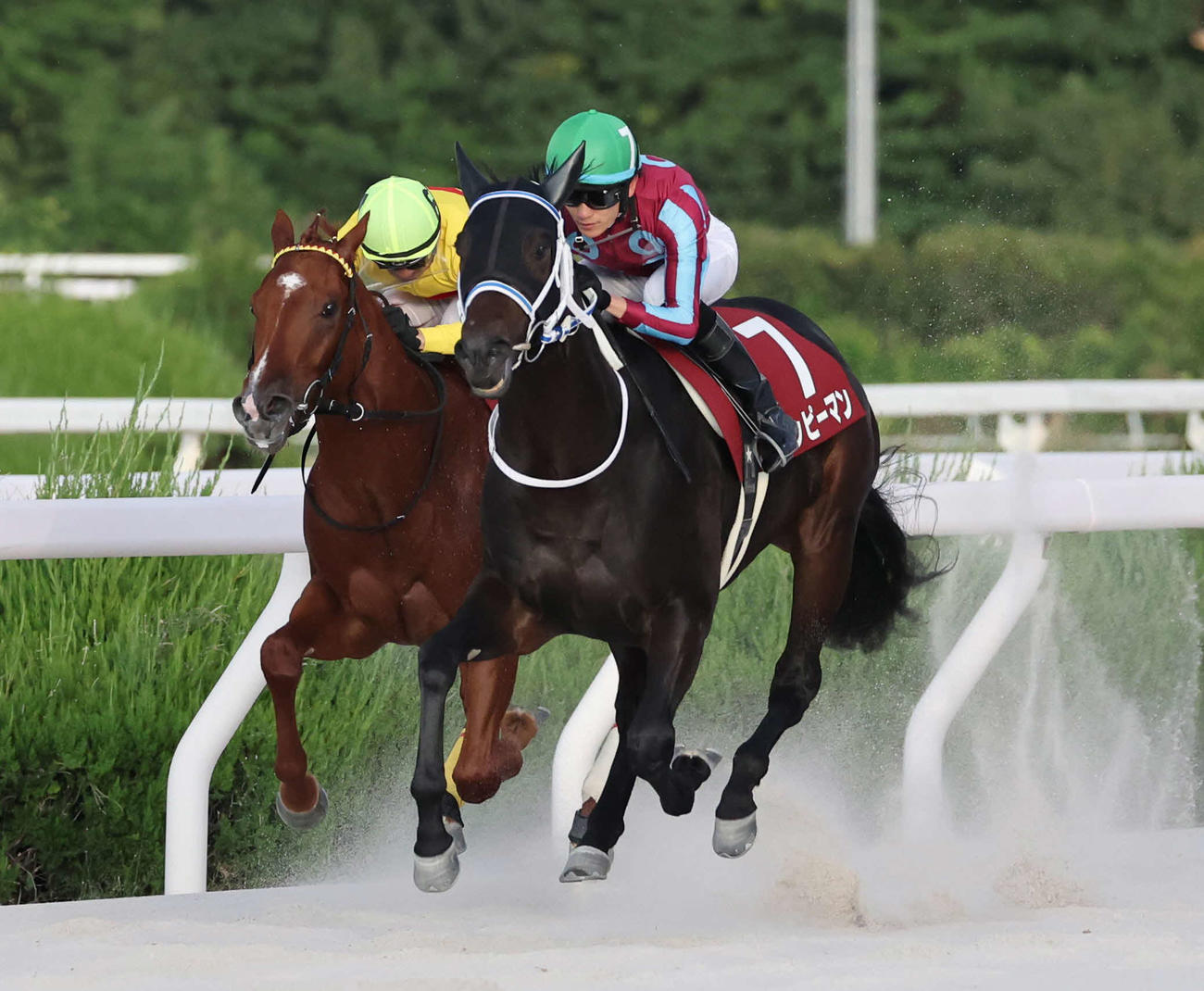 兵庫ジュニアグランプリを制したハッピーマンと坂井騎手