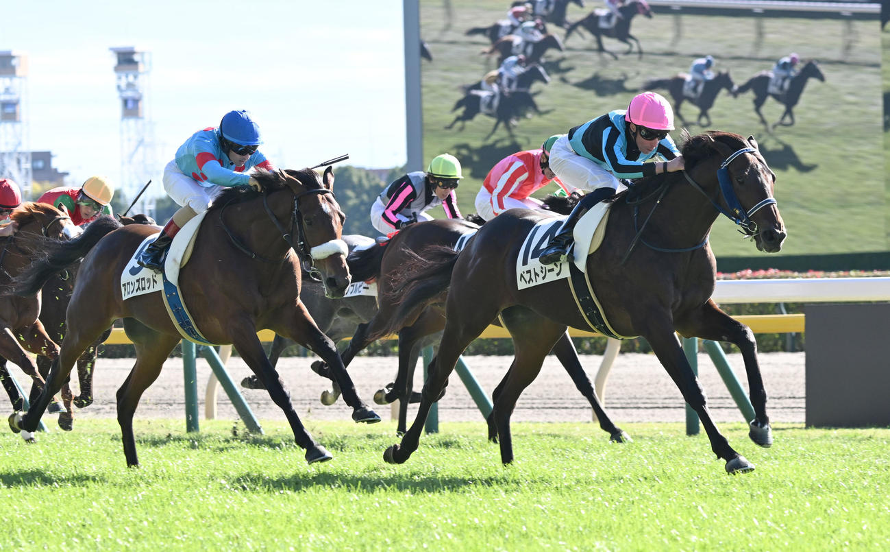 東京3R、2歳未勝利戦を制したベストシーン（右手前）。左手前は2着のアロンズロッド（撮影・千葉一成）