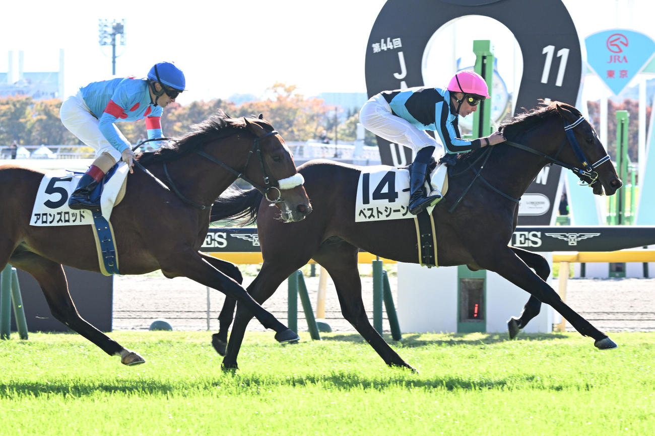 東京3R、2歳未勝利戦を制したベストシーンとビュイック騎手（右）。左は2着のアロンズロッド（撮影・千葉一成）