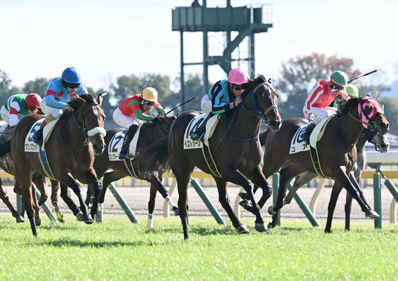 東京3R、2歳未勝利戦を制したベストシーンとビュイック騎手（手前中央）。左手前は2着のアロンズロッド（撮影・千葉一成）