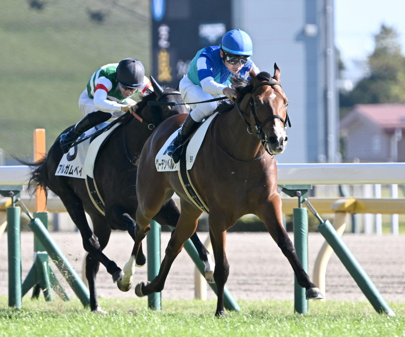 東京5R、2歳新馬戦を制したグーテンベルクと戸崎騎手（右）（撮影・千葉一成）