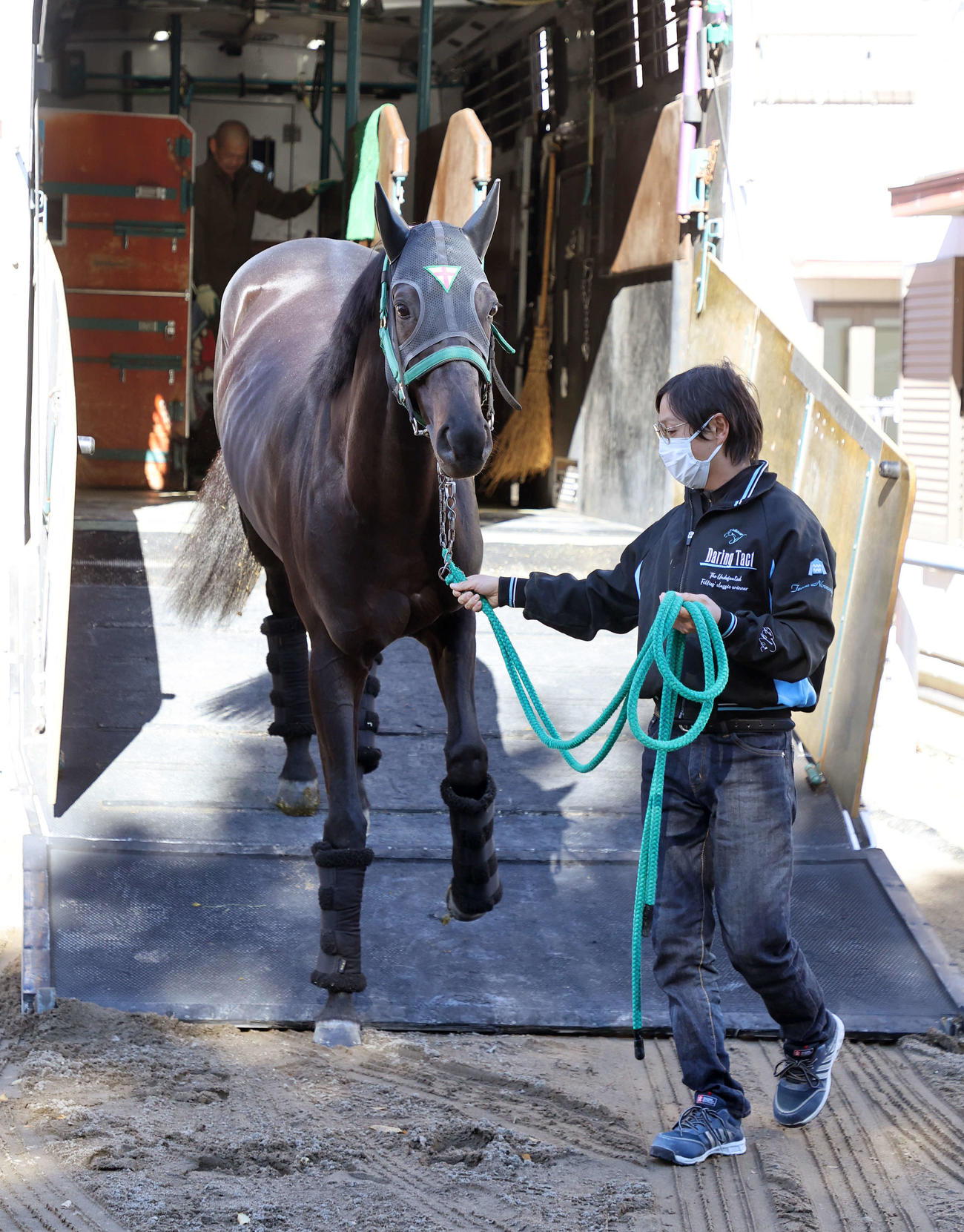 東京競馬場に到着したジャスティンパレス（撮影・鈴木正人）