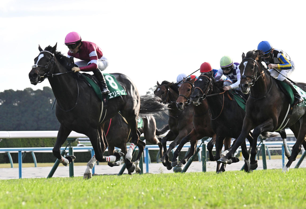 馬場の中央から抜け出し京都2歳Sを制するエリキング（左）と川田将雅騎手（撮影・和賀正仁）