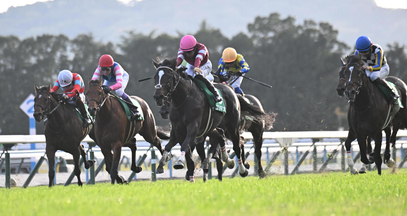 馬場の中央から抜け出し京都2歳Sを制するエリキング（中央）と川田将雅騎手（撮影・和賀正仁）