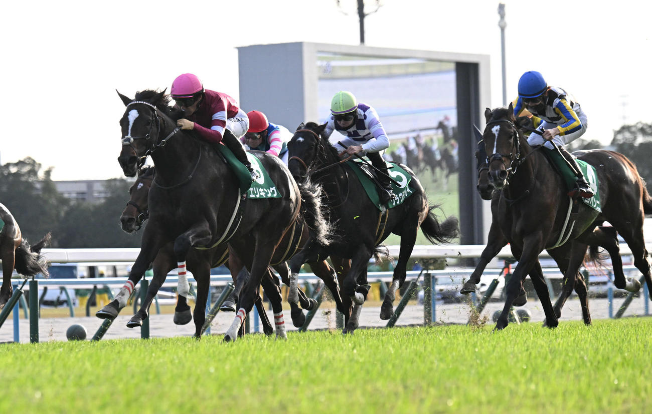 中央から抜け出し京都2歳Sを制するエリキング（左）と川田騎手（撮影・和賀正仁）