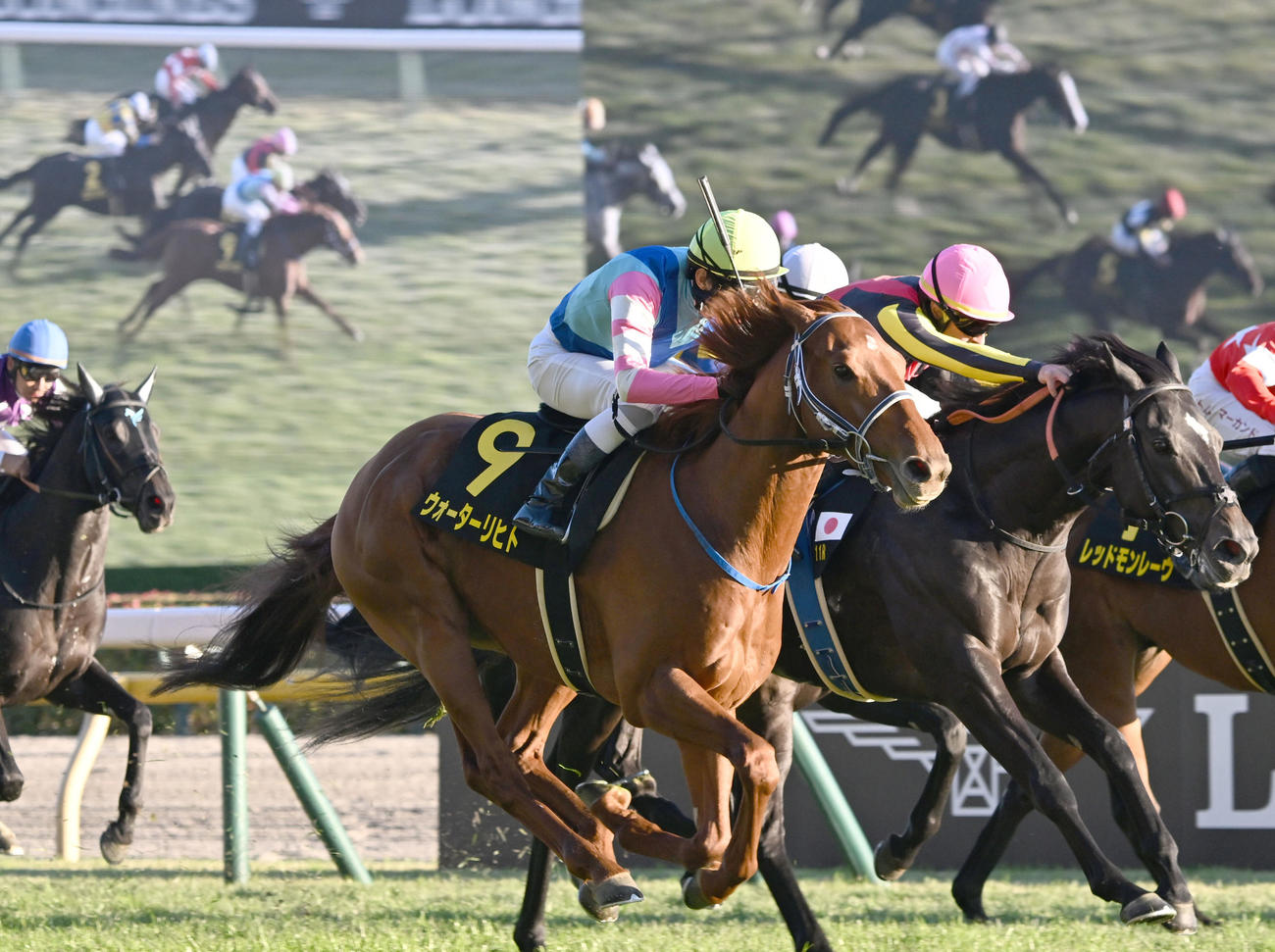 キャピタルSを制したウォーターリヒトと田辺騎手（手前）（撮影・千葉一成）