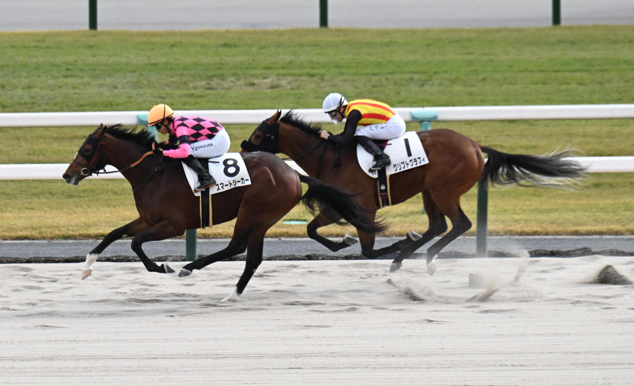ゴール前でグリプトグラフィ（右）を差し切り新馬戦を制するスマートシーカー（撮影・和賀正仁）