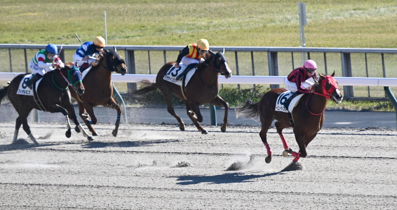 2歳新馬戦を制したヘニーガイストとマーカンド騎手（右端）（撮影・千葉一成）