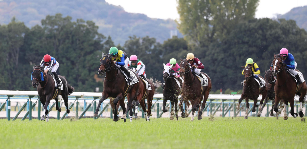 京都6R新馬戦を快勝したネブラディスク（左から2頭目）とJRA通算500勝を達成した岩田望騎手
