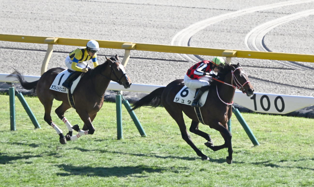 東京6R 2歳新馬戦を制したジュタと坂井騎手。左は2着のオプレントジュエル（撮影・千葉一成）