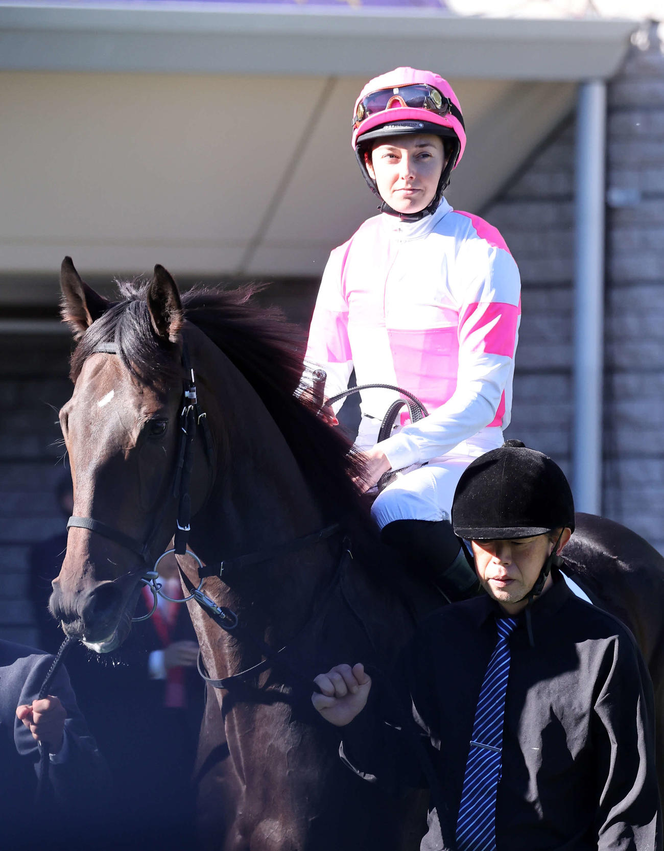 東京8Rベゴニア賞に出走するアルメールヴェントとミシェル騎手（撮影・鈴木正人）