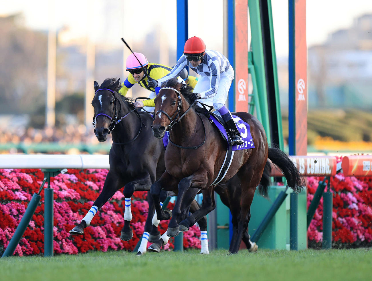 昨年の有馬記念を制したドウデュース