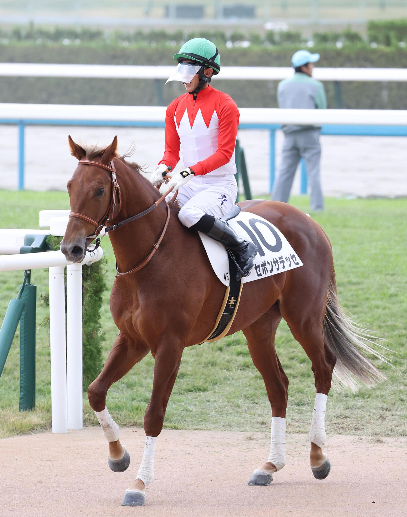 京都4R、新馬戦を制したセボンサデッセ（撮影・白石智彦）