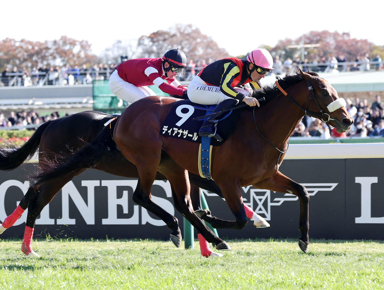 東京8R　ベゴニア賞を制したディアナザール（手前）とC・デムーロ騎手（撮影・鈴木正人）
