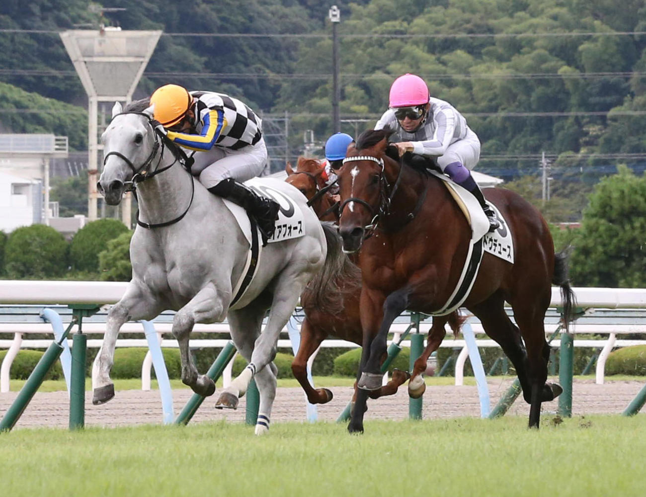 21年9月、新馬戦を制したドウデュース（右）と2着ガイアフォース