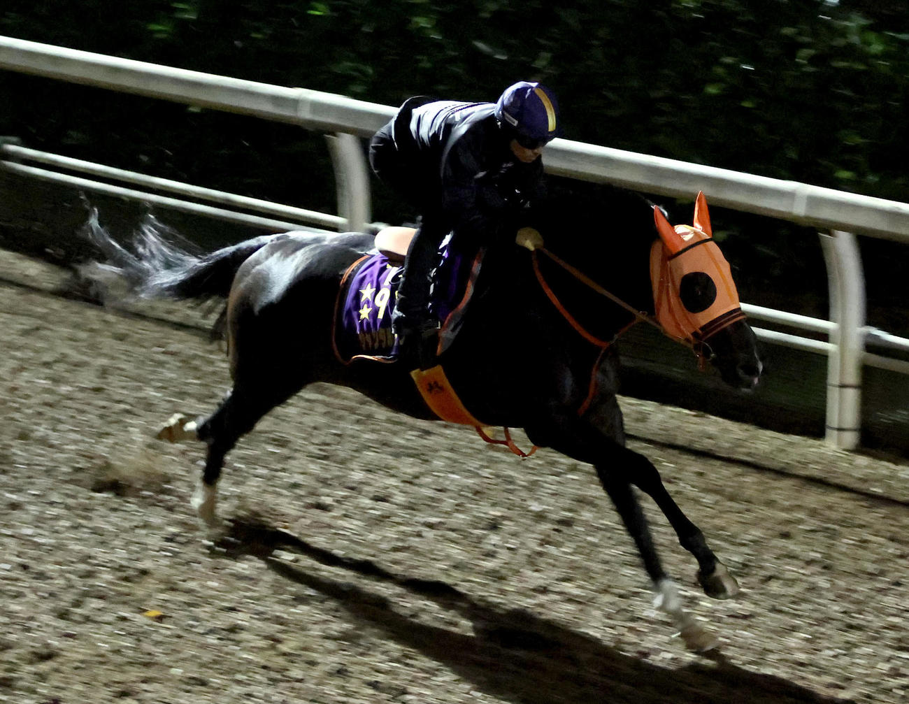 川田騎手を背に坂路を単走で追い切るジャンタルマンタル（撮影・白石智彦）