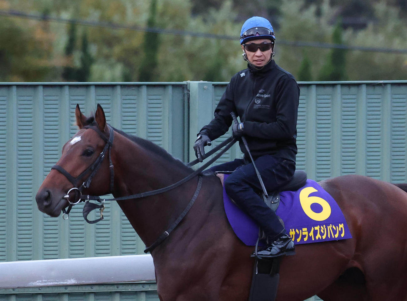 武豊騎手を背に角馬場で運動するサンライズジパング（撮影・白石智彦）