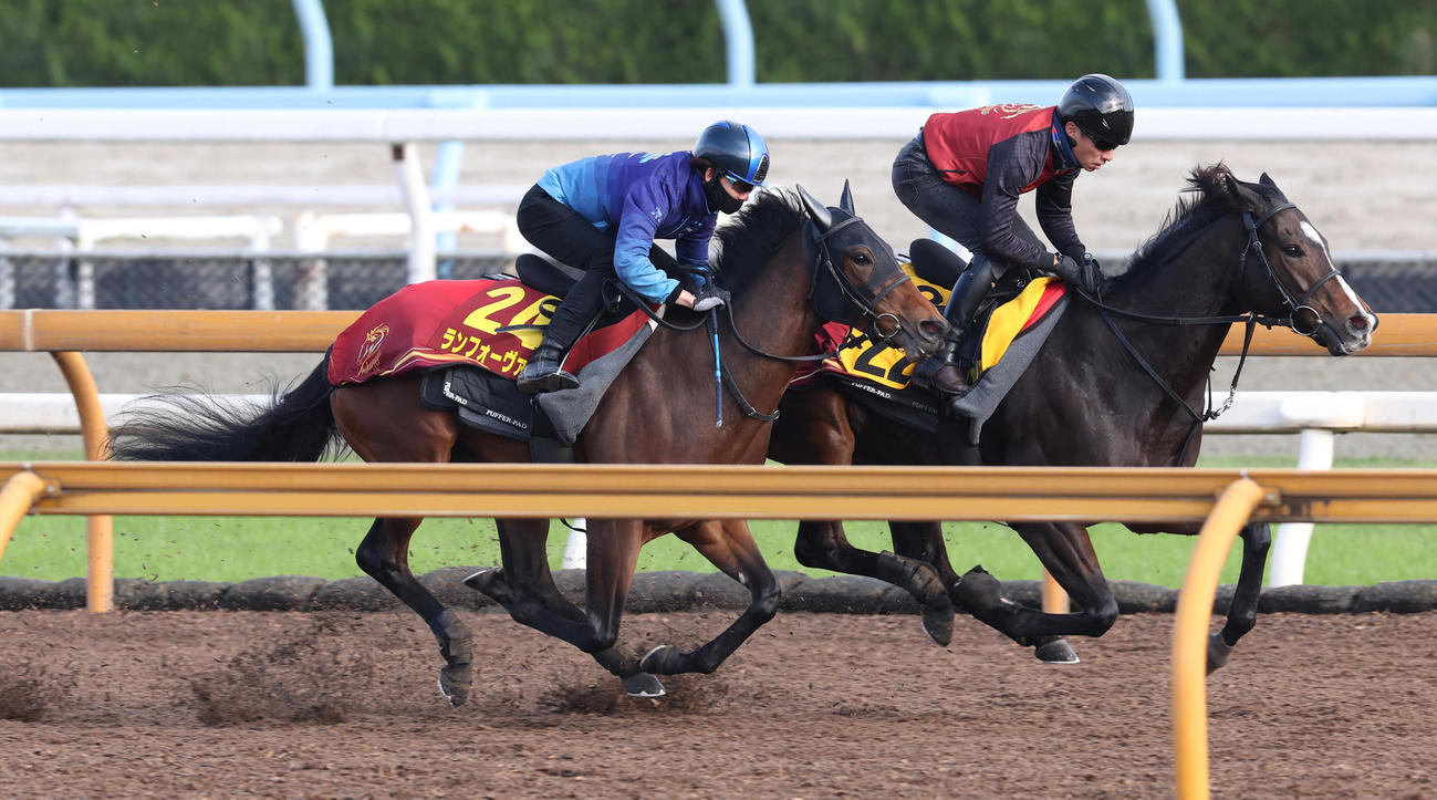 ランフォーヴァウ（左）はCウッドをレオノーレと併せて追い切る