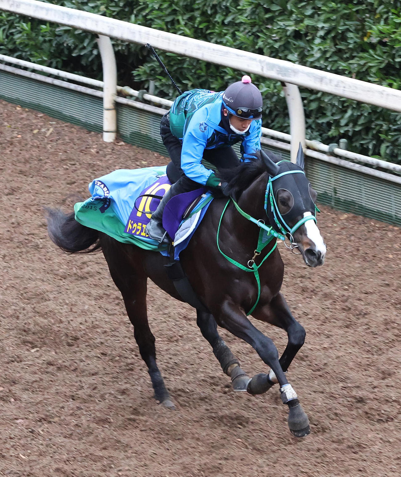 坂路を単走で追い切るドゥラエレーデ（撮影・白石智彦）
