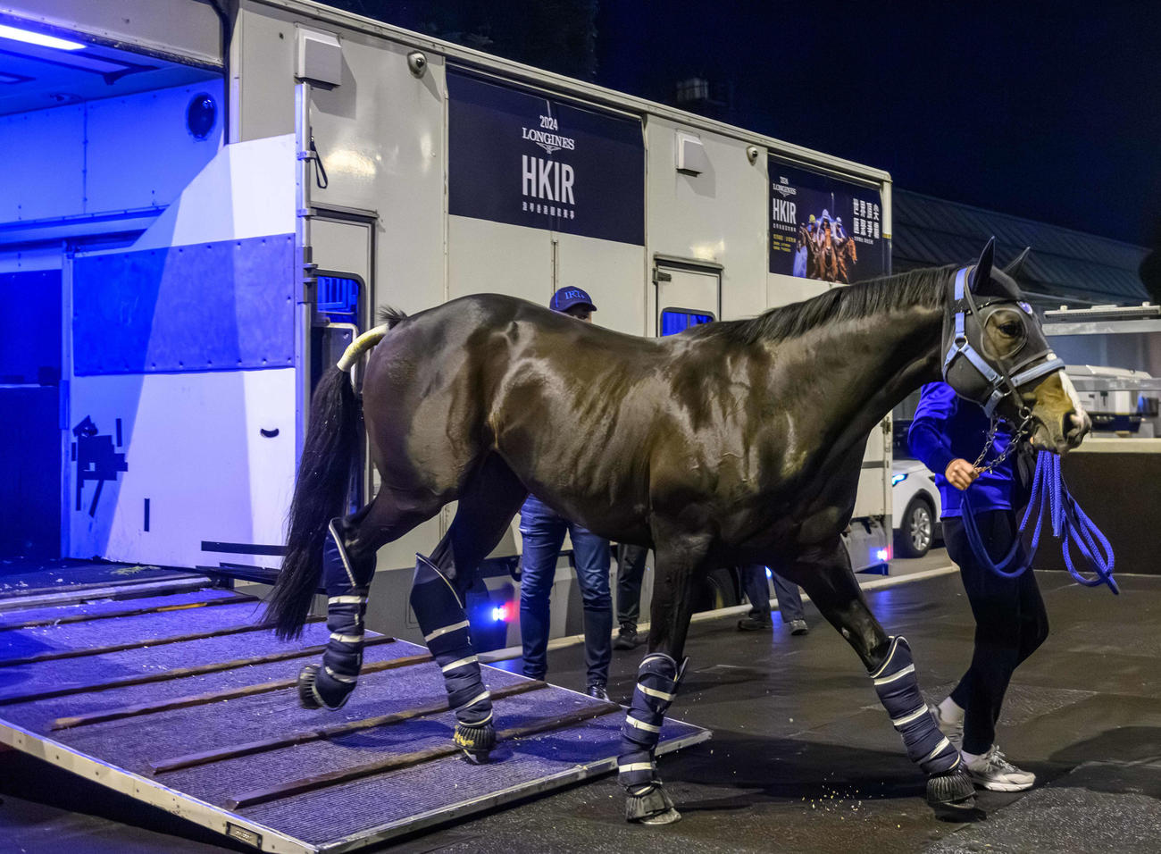 27日夜、シャティン競馬場へ到着したソウルラッシュ（C）The Hong Kong Jockey Club