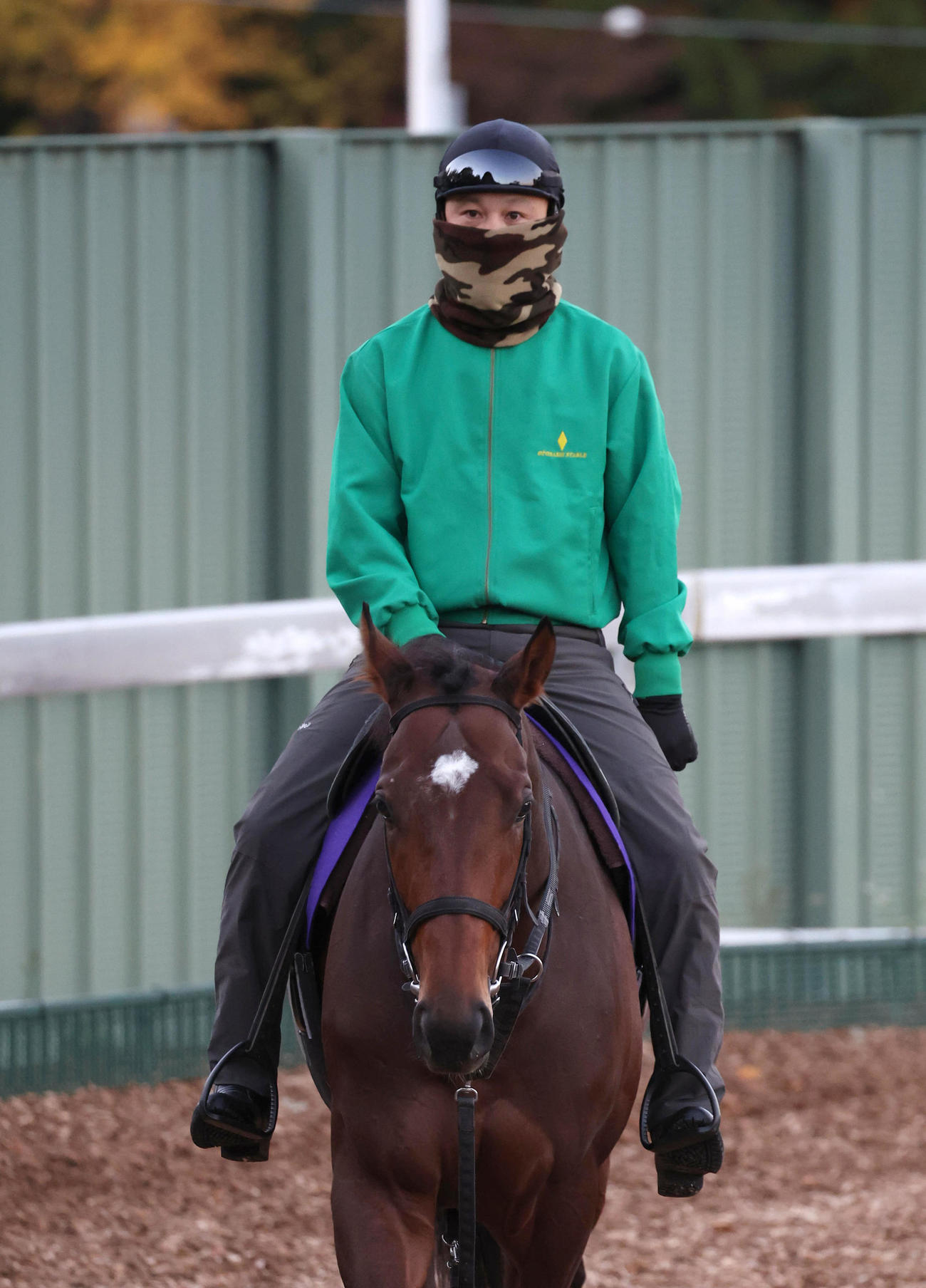 角馬場で運動するサンライズジパング（撮影・白石智彦）