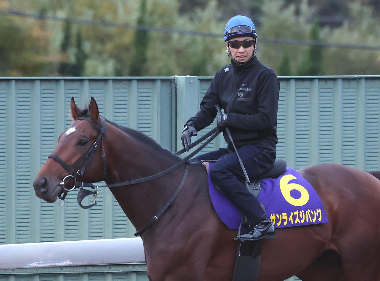 武豊騎手を背に角馬場で運動するサンライズジパング（2024年11月27日撮影）