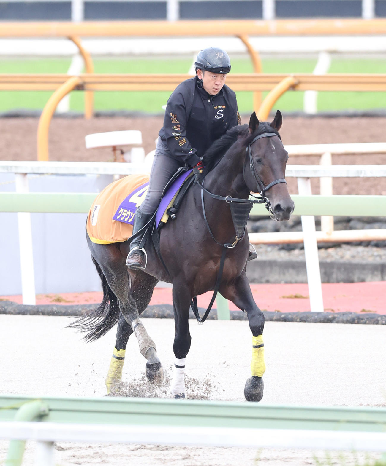 追い切り前に運動するクラウンプライド