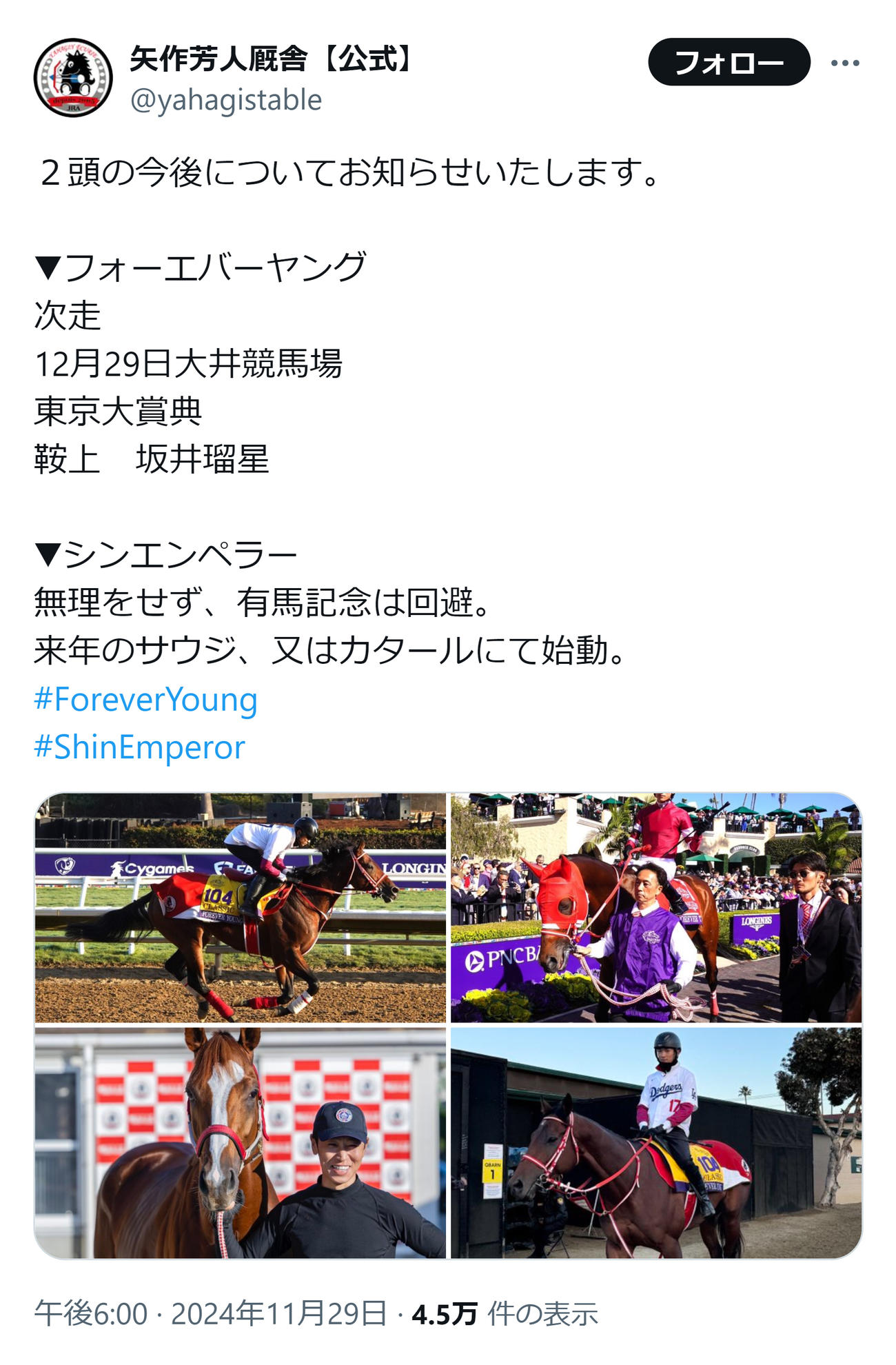 矢作厩舎の公式Xから