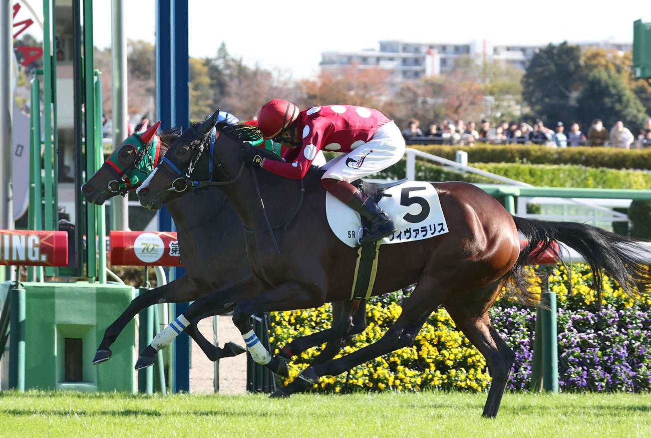 中山5R、ゴール手前で差し切って2歳新馬戦を制したヴィヴァラリスと三浦騎手（手前）（撮影・丹羽敏通）