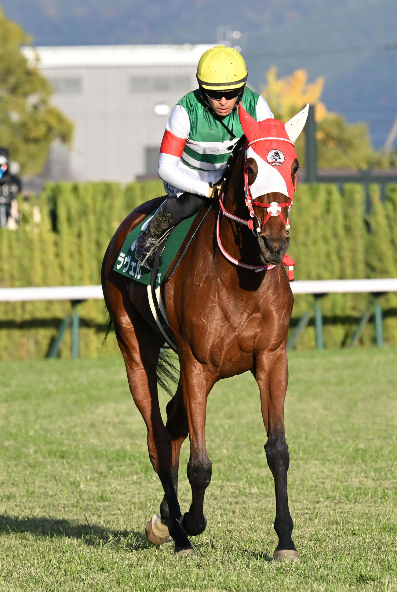 11R、チャレンジCを制したラヴェル（撮影・前岡正明）