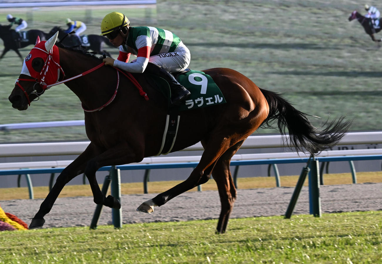 11R、チャレンジCを制したラヴェル（撮影・前岡正明）