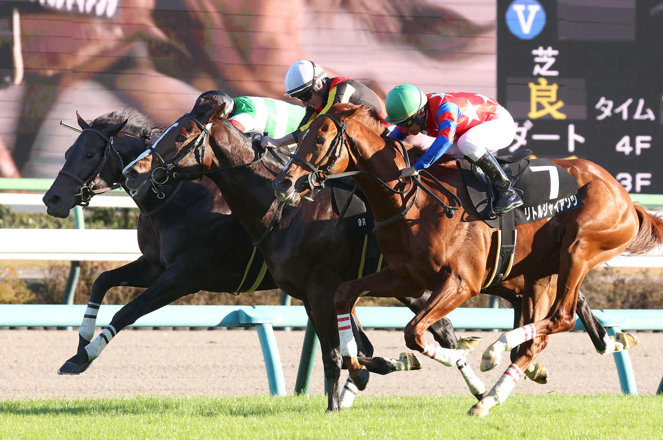 中山9R、葉牡丹賞を制したヴィンセンシオとビュイック騎手（最内）（撮影・丹羽敏通）