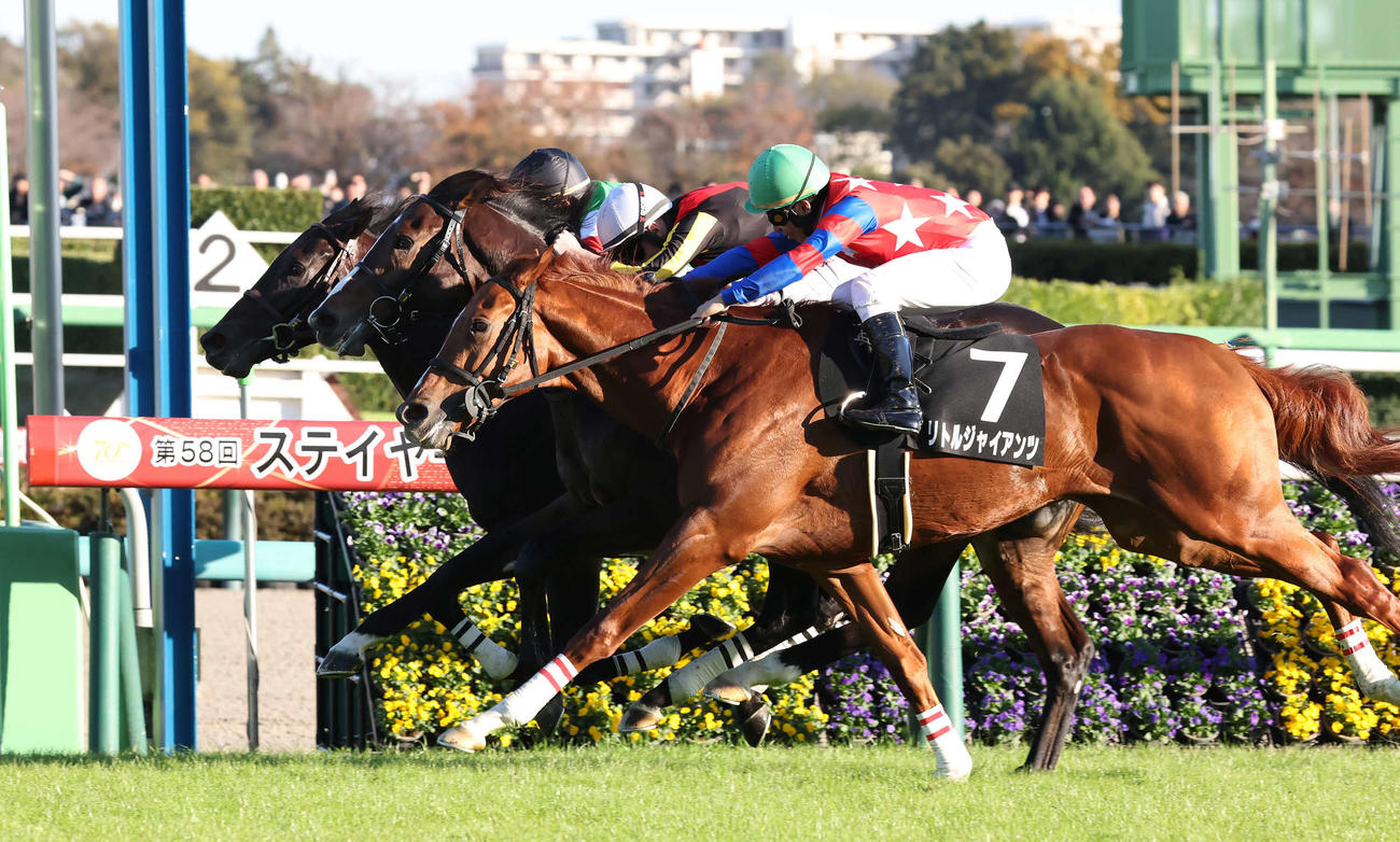 中山9R、葉牡丹賞を制したヴィンセンシオとビュイック騎手（最内）（撮影・丹羽敏通）