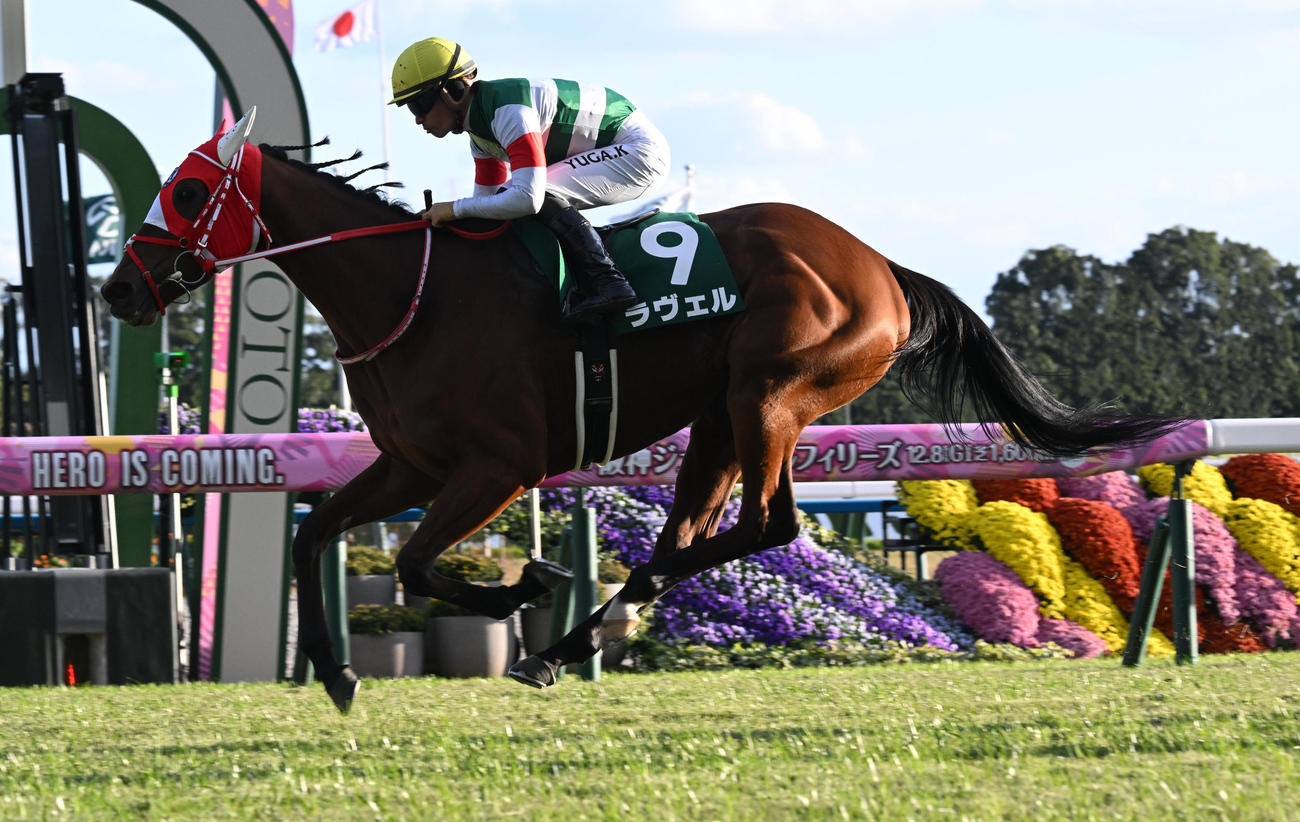 京都11R、チャレンジCを制したラヴェル（撮影・前岡正明）