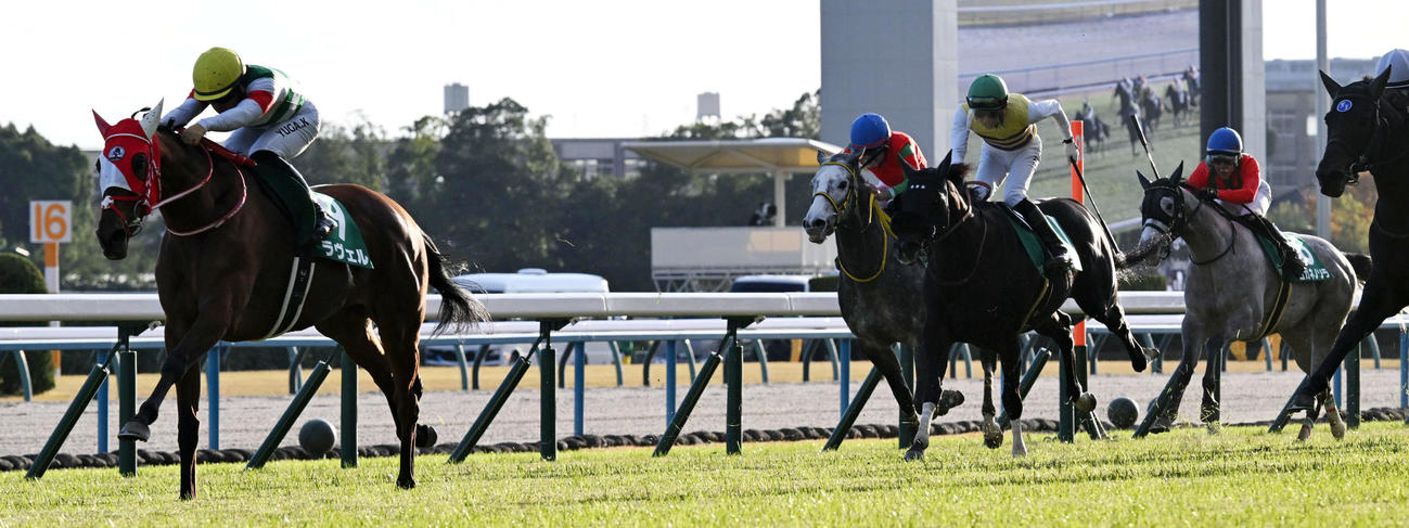 京都11R、ラヴェル（右）はチャレンジCを制した（撮影・前岡正明）