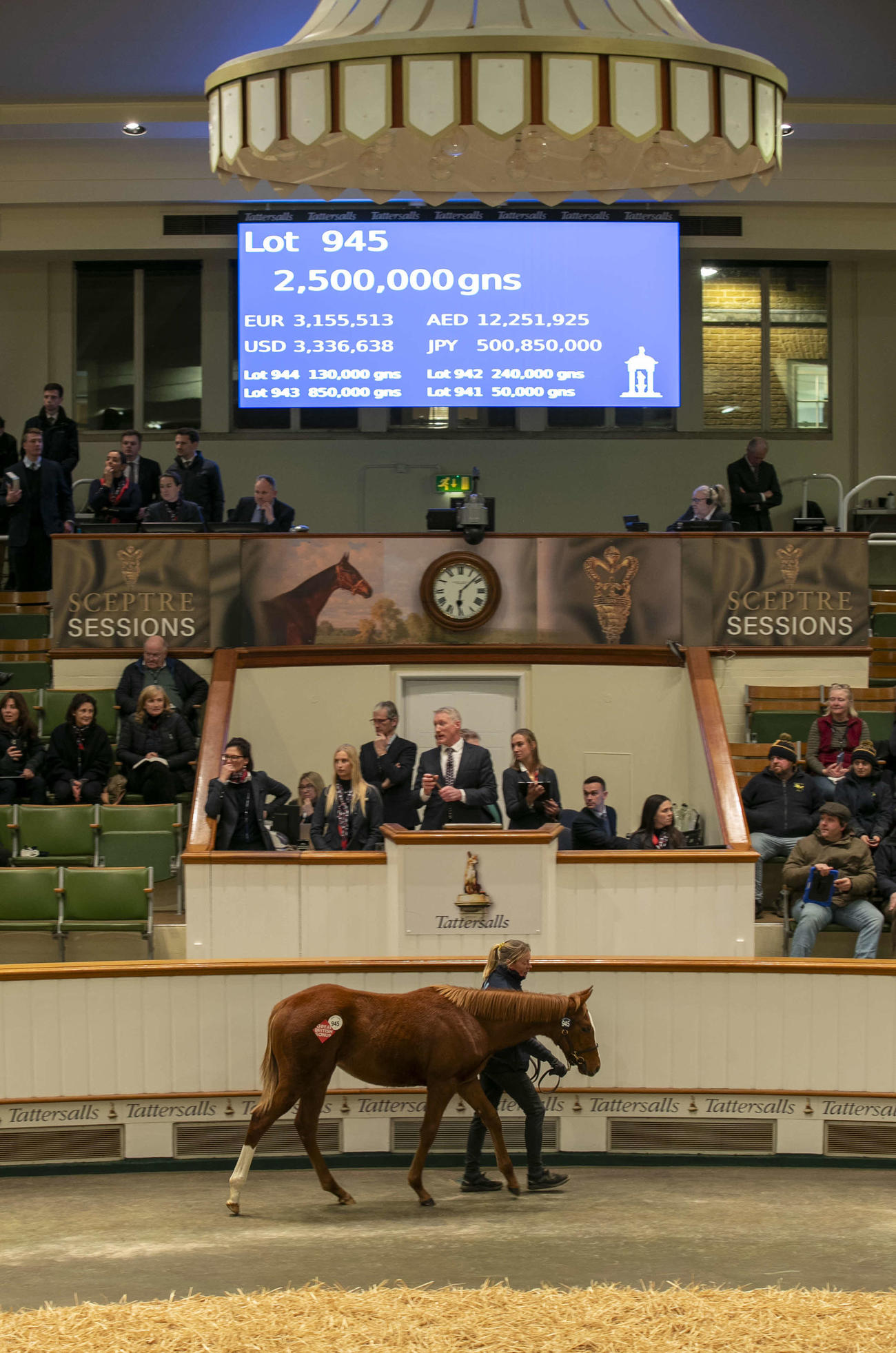 250万ギニーで落札されたフランケル産駒（C）Tattersalls