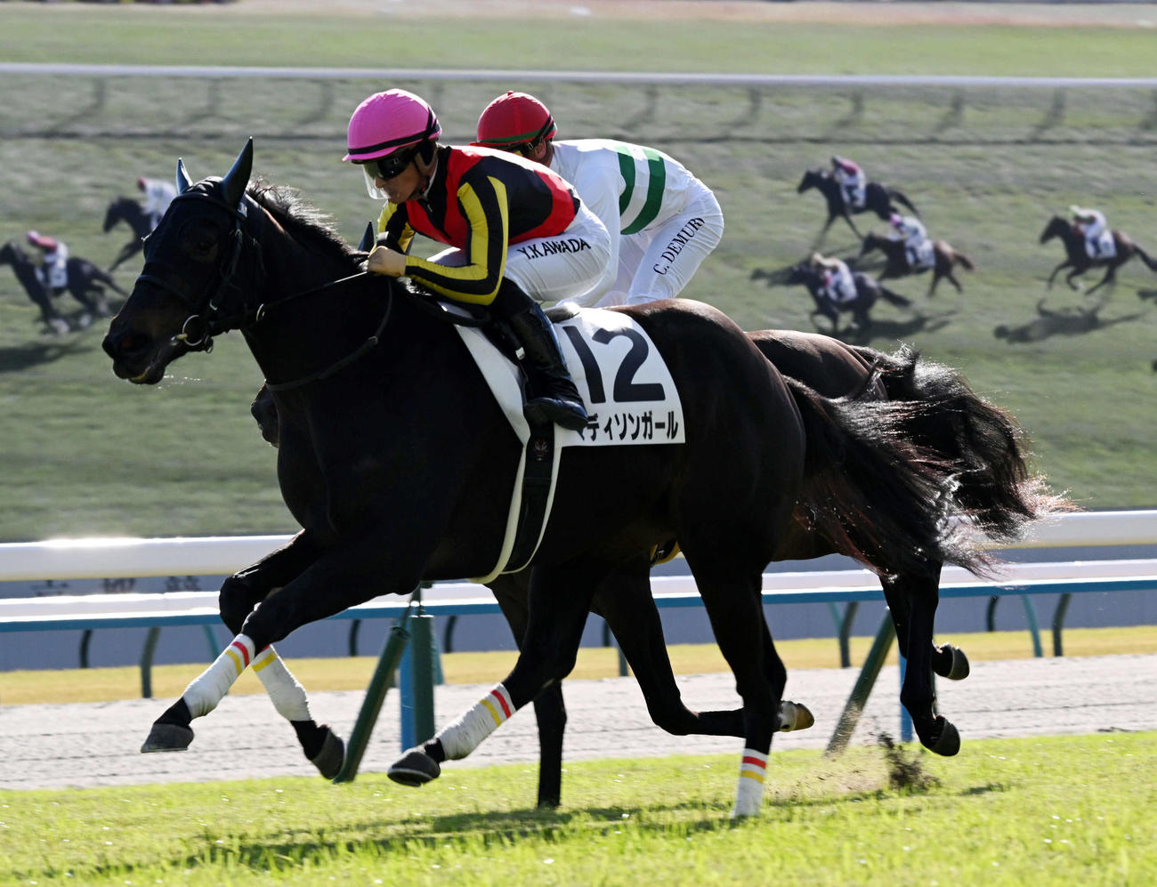 京都5Rの新馬戦を制したマディソンガール（撮影・前岡正明）