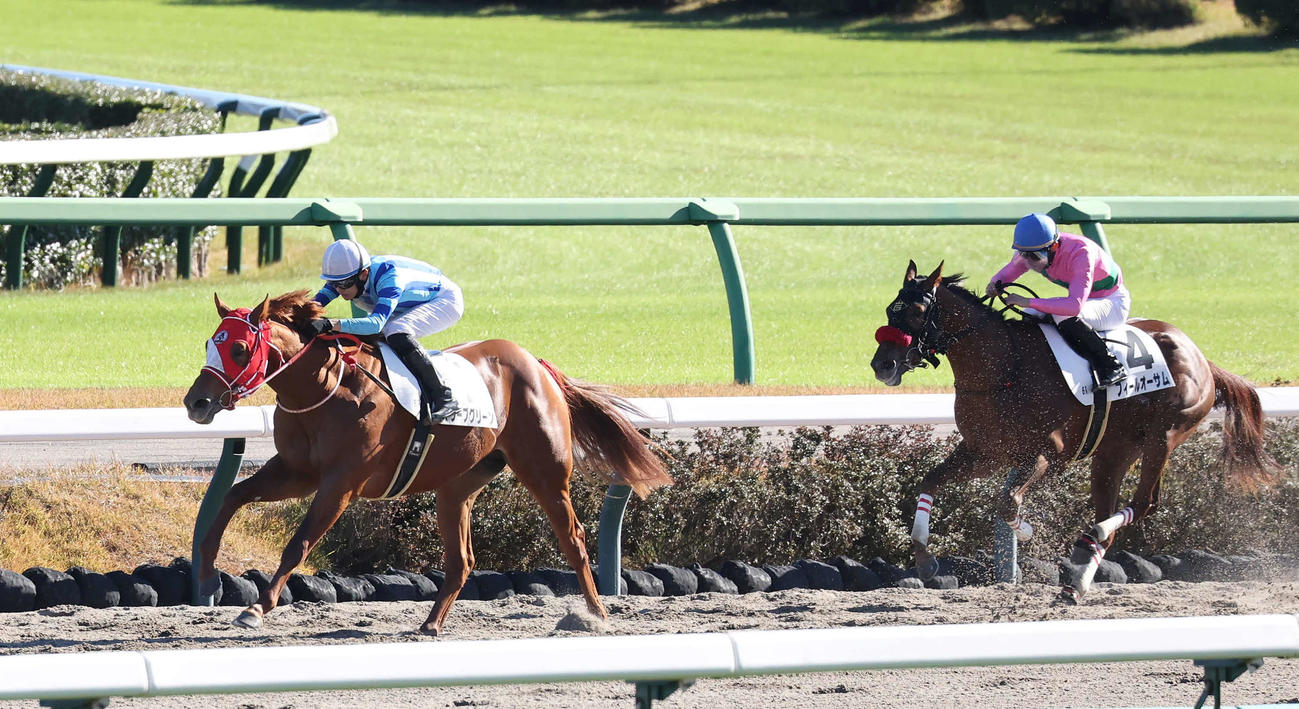 中山6R、2歳新馬戦を制したオリーブグリーンと坂井騎手（撮影・丹羽敏通）