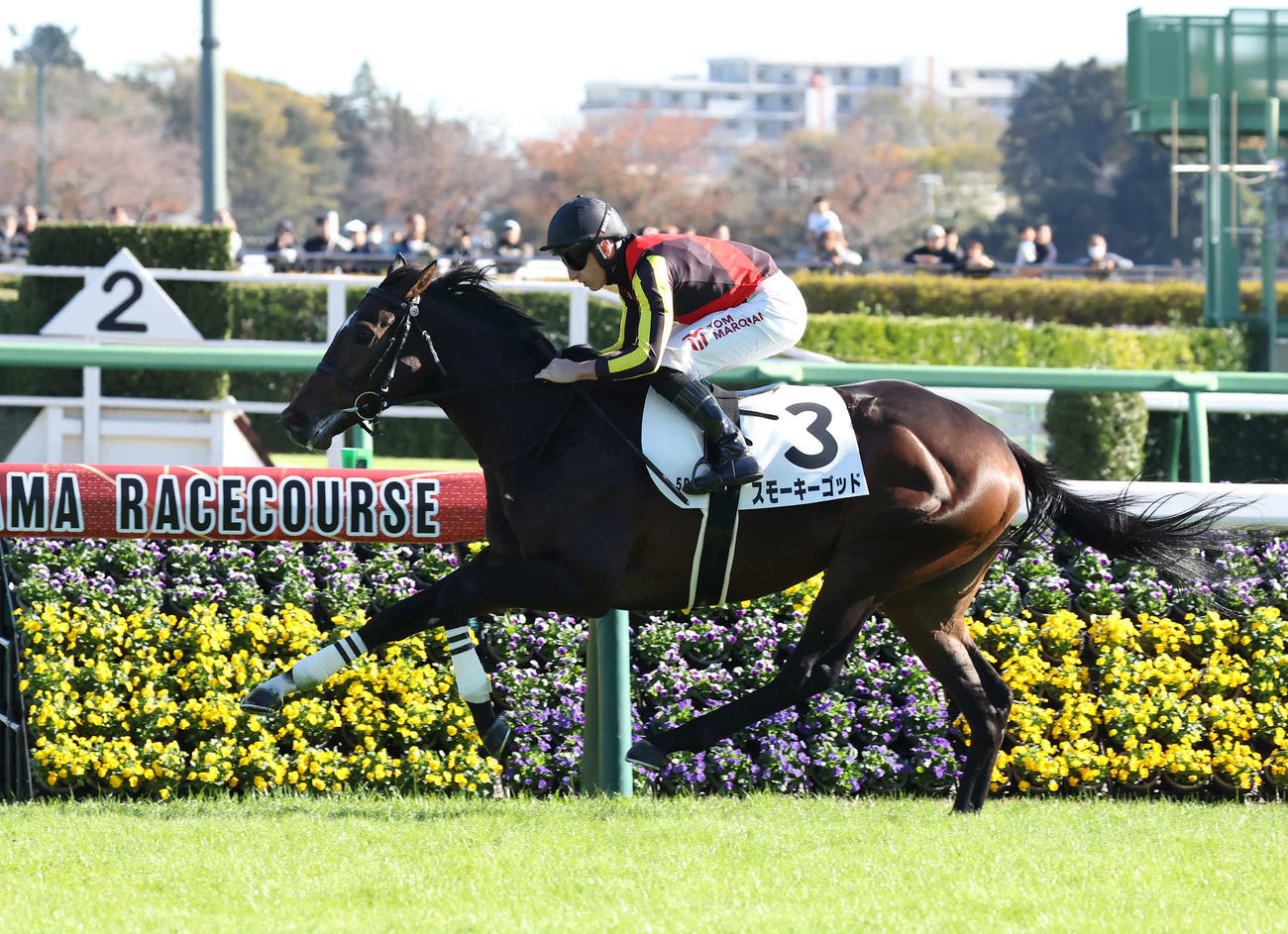 中山5R、2歳新馬戦を快勝したスモーキーゴッドとマーカンド騎手（撮影・丹羽敏通）