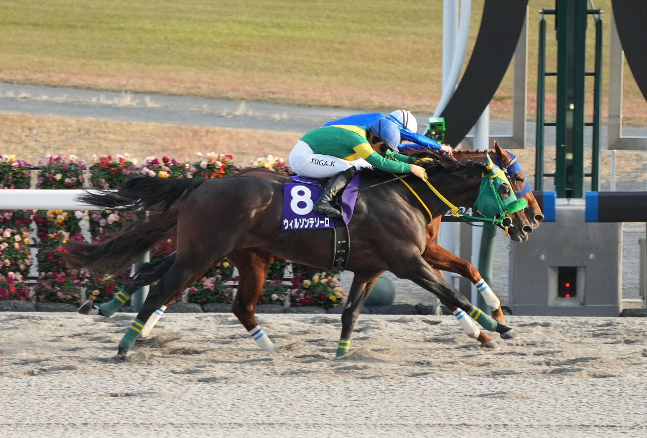 チャンピオンズカップ　逃げ切りで1着の2番レモンポップ（奥）（撮影・森本幸一）