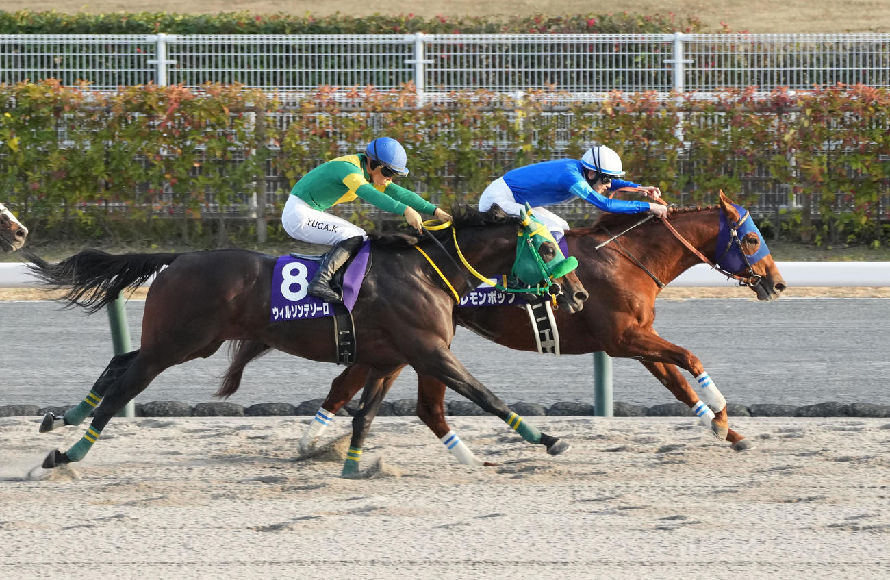 チャンピオンズカップ　逃げ切りで1着の2番レモンポップ（奥）（撮影・森本幸一）
