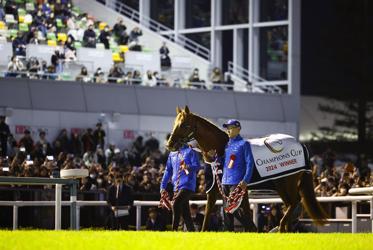 第4回中京競馬第2日　引退式で、多くの観客の前を歩くレモンポップ（撮影・藤尾明華）