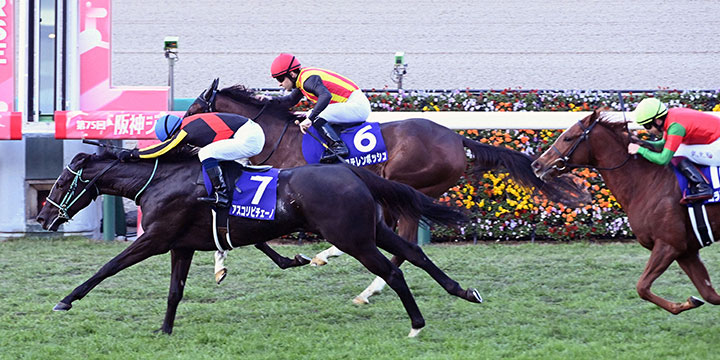 直線抜け出して阪神JFを制したアスコリピチェーノ（撮影・前岡正明）＝2023年12月10日、阪神競馬場