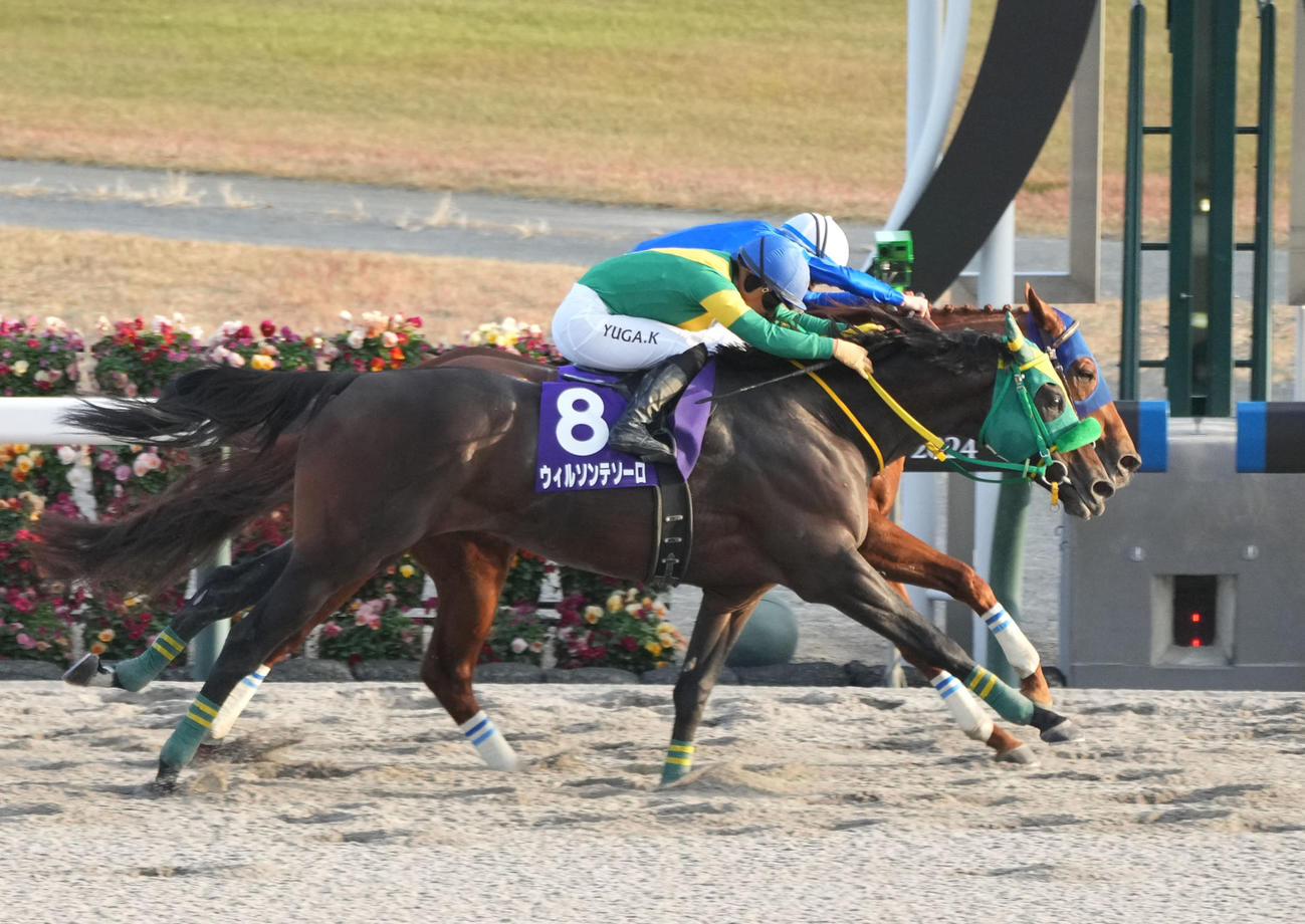 チャンピオンズカップ　逃げ切りで1着の2番レモンポップ（奥）（撮影・森本幸一）