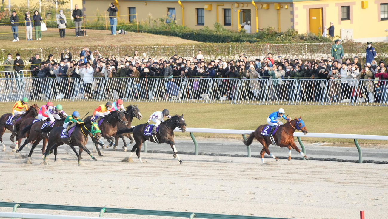 逃げ切ってチャンピオンズCを制したレモンポップと坂井騎手（撮影・森本幸一）