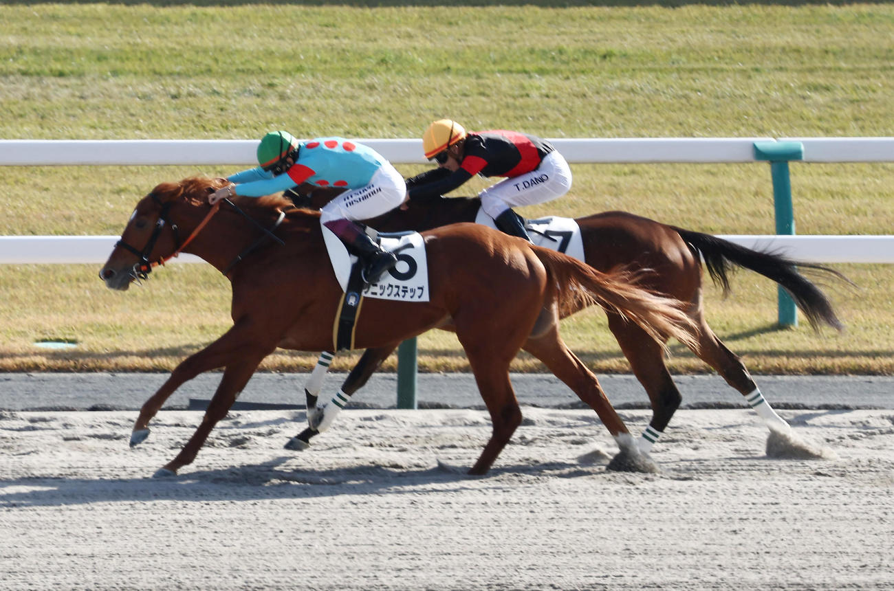 新馬戦を制したソニックステップ（手前）（撮影・前田充）