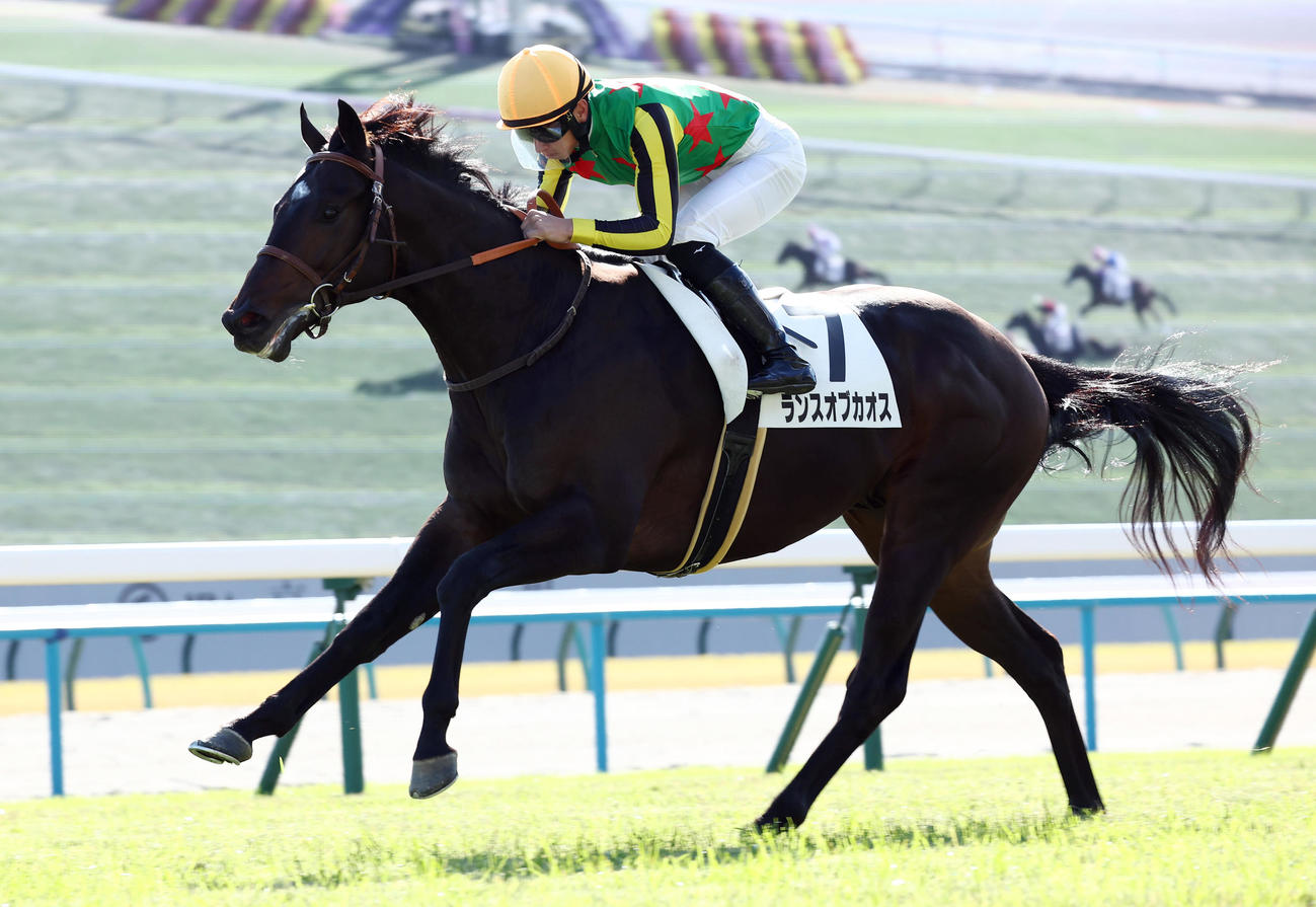 新馬戦を制したランスオブカオス（撮影・前田充）