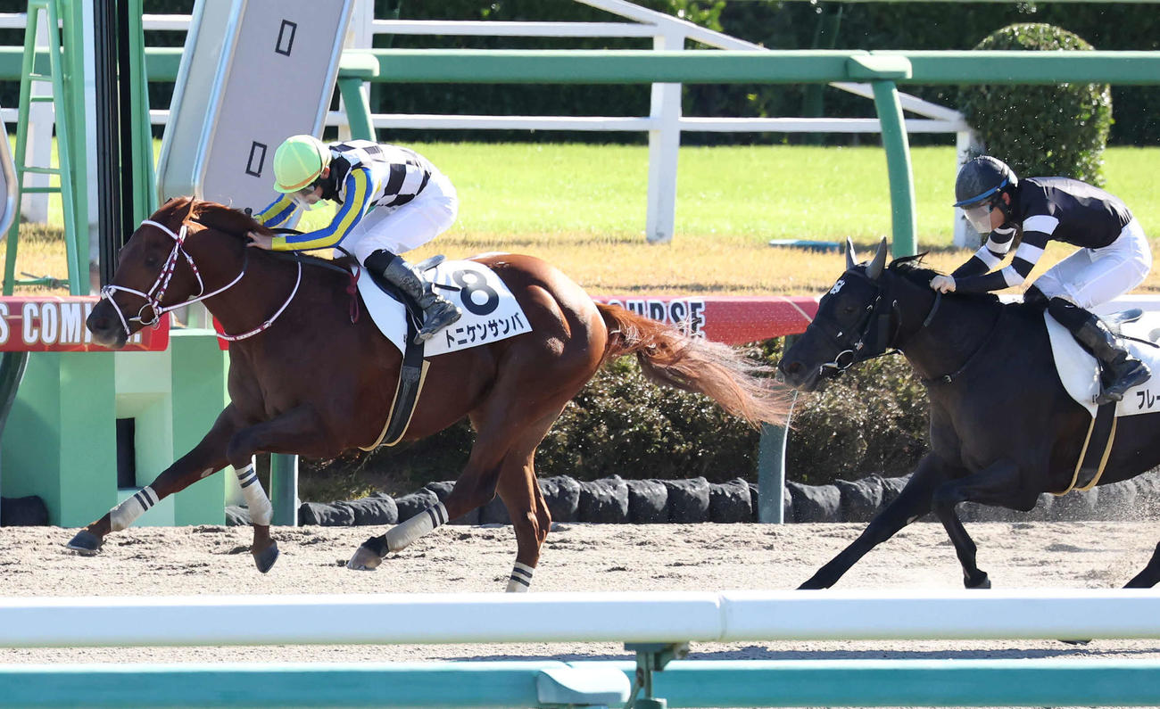 直線で抜け出し新馬戦を制したトニケンサンバと菅原明騎手（撮影・丹羽敏通）
